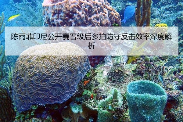 陈雨菲印尼公开赛晋级后多拍防守反击效率深度解析 | CROWN SPORTS